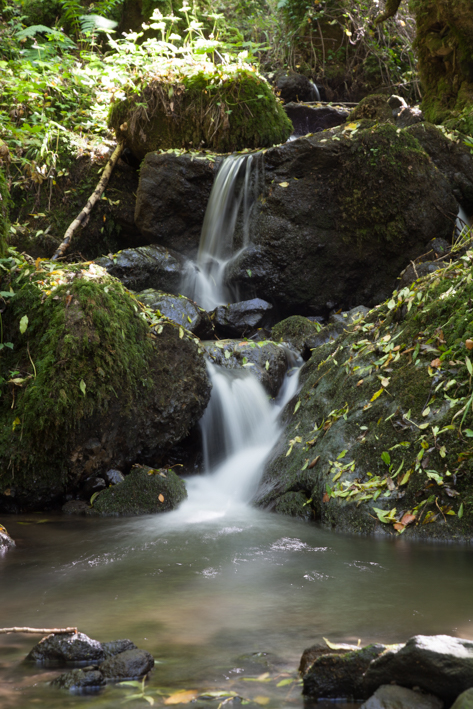 Photo de cascades forestières